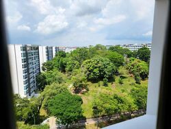 Blk 219 Pasir Ris Street 21 (Pasir Ris), HDB Executive #501596701